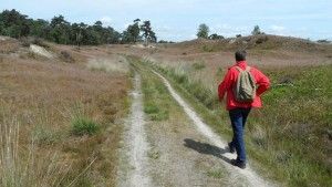 veluwe5