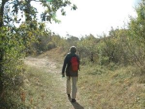 wandelen in de natuur
