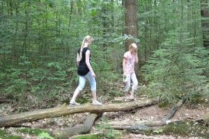 wild play