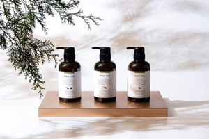 Meet Tree: de winkel als bosbad
