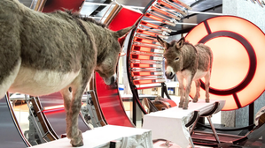 Gentle Monster: meester in unieke storedesigns