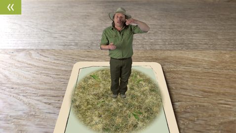 Appdate: Plus brengt dieren en planten tot leven