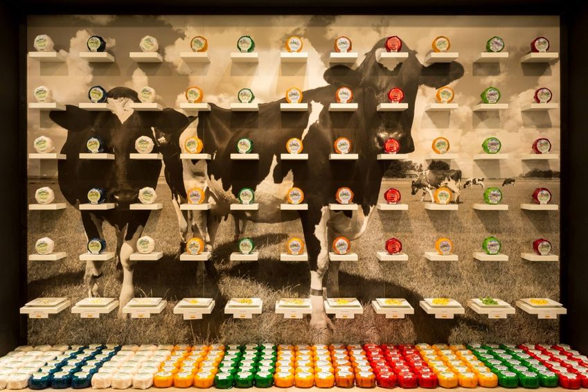 Kaaswinkel Cheese & More gaat de grens over