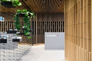 Cibdol: het highend CBD-merk waar je niet high van wordt