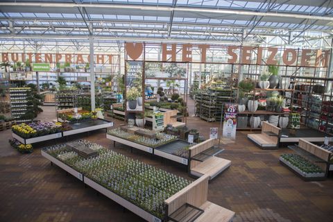 In deze winkel kleurt Intratuin nog wat groener