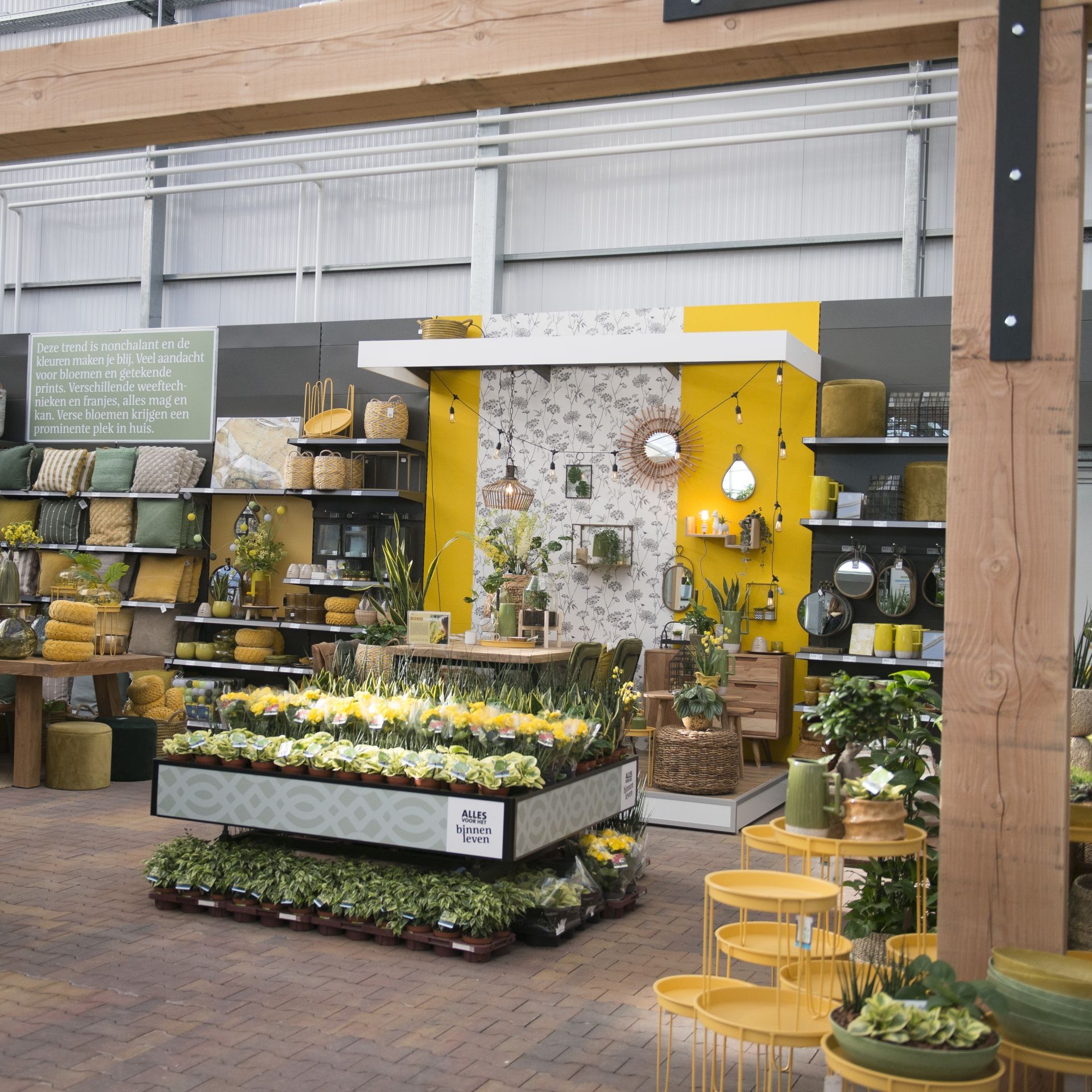 In deze winkel kleurt Intratuin nog groener - RetailTrends