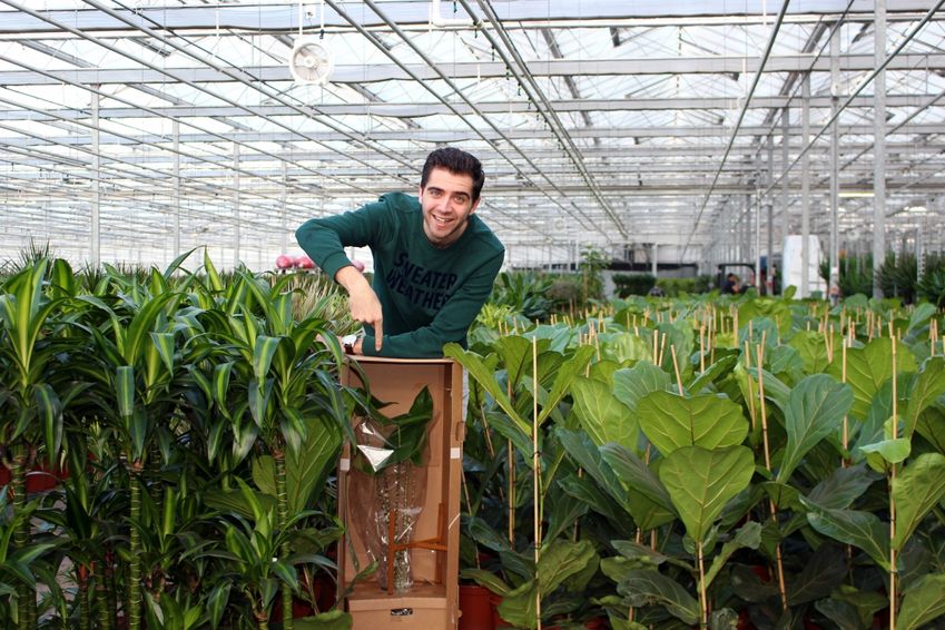 Bij Plantsome zijn groene vingers niet vereist