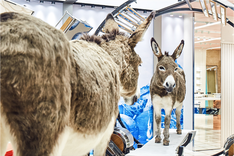 Deze brillenzaak zet je aan het denken