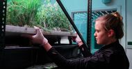 Pluk & play: De groei van indoor farming