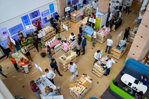 Welkom op het startupfeestje van Albert Heijn