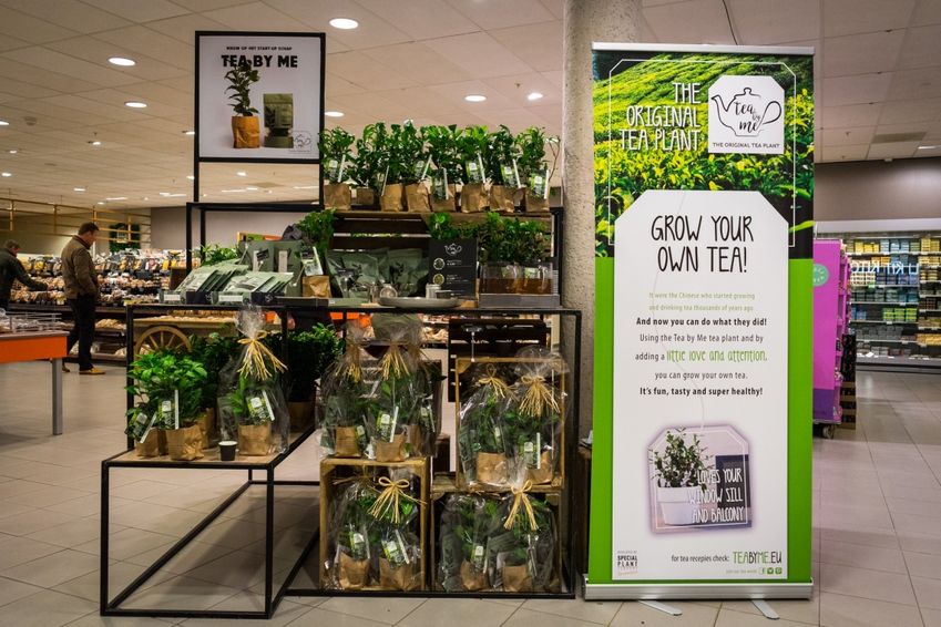 Albert Heijn probeert 'startupschap' in Amsterdam