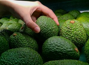 Eerste avocadowinkel geopend in Amsterdam