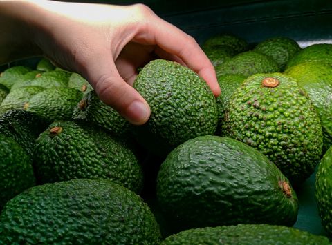 Eerste avocadowinkel geopend in Amsterdam