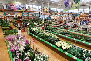 Forse groei voor Nederlandse tuincentra