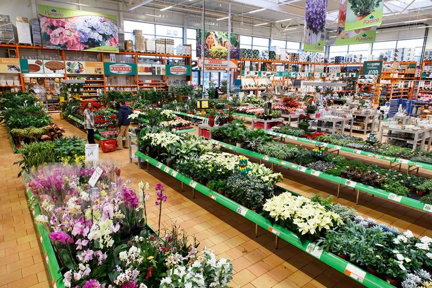 Forse groei voor Nederlandse tuincentra