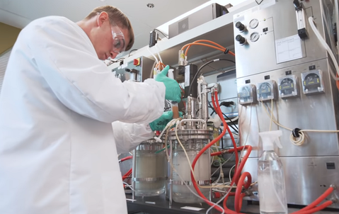 Deze startup maakt kleding van spinnenzijde