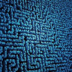 Die big data zijn hartstikke dom