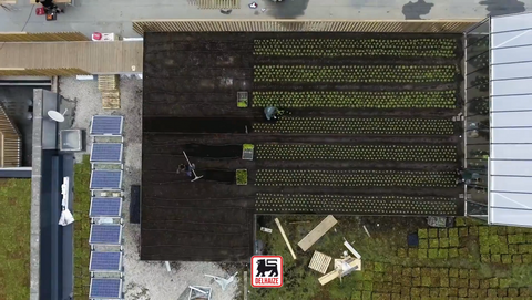 Op dit dak kweekt Delhaize zijn eigen groente