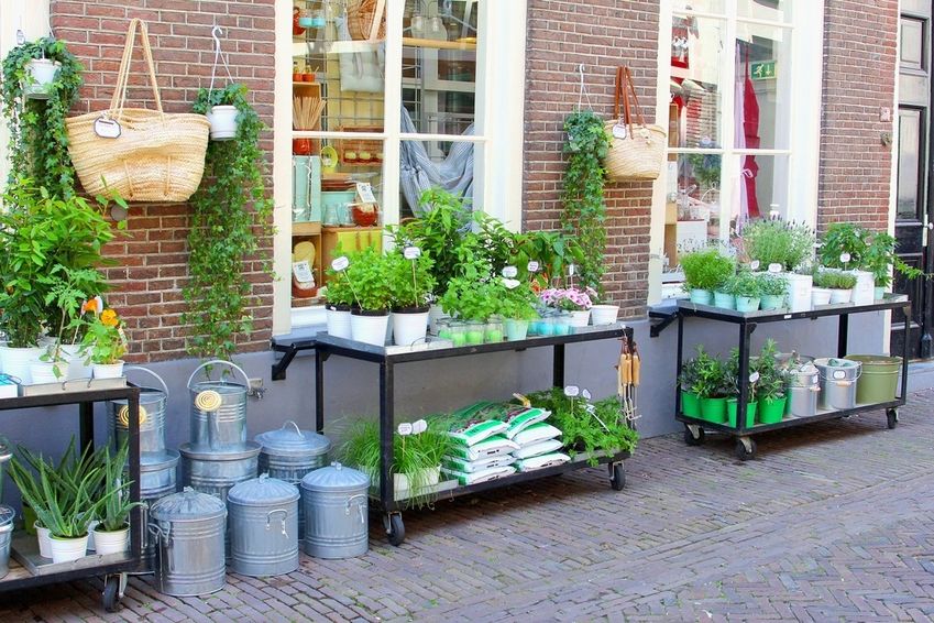 Dille & Kamille spot met alle (online) wetten