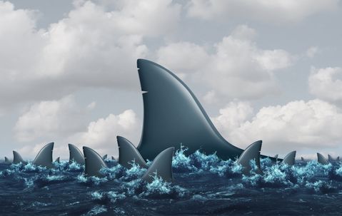 Waarom verschraling voor retail op de loer ligt