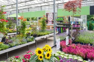 Tuincentra beginnen aan inhaalslag