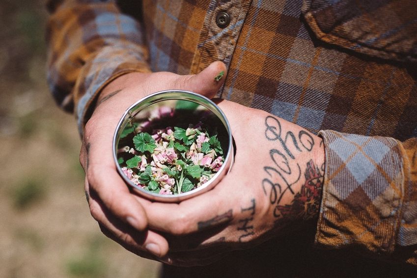 Juniper Ridge, het bos gebotteld