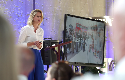 Waarom Lush tegen de gevestigde orde ingaat