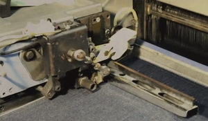 Hoe (organisch) katoen uitgroeit tot een paar jeans