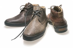 Van Bommel achter brandbrief om ondernemerschap