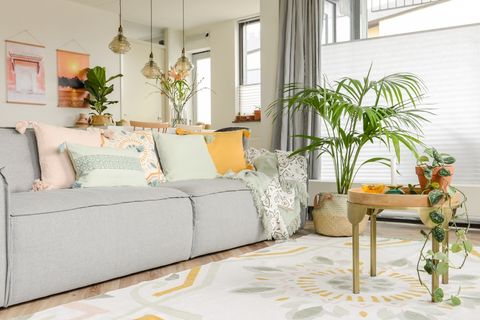 Zeven vragen over de carte blanche van Kwantum