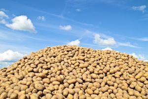 Coronacrisis: wat te doen met al het overtollige voedsel?