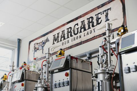 Those Vegan Cowboys wil 15 miljoen ophalen