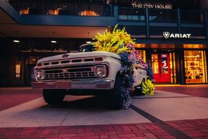 Digitaliseren als nichespeler: vier lessen van Ariat