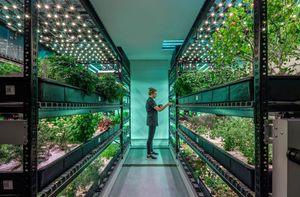 Pluk & play: De groei van indoor farming