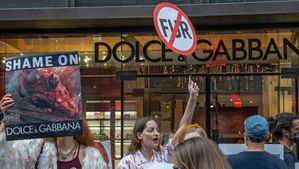 Dolce & Gabbana stopt met bont