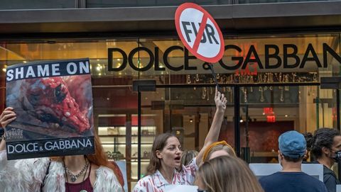 Dolce & Gabbana stopt met bont