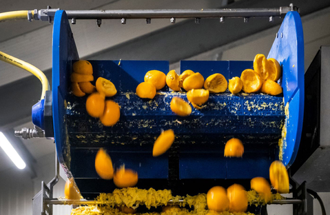 Jumbo geeft tien miljoen kilo sinaasappelschillen tweede leven