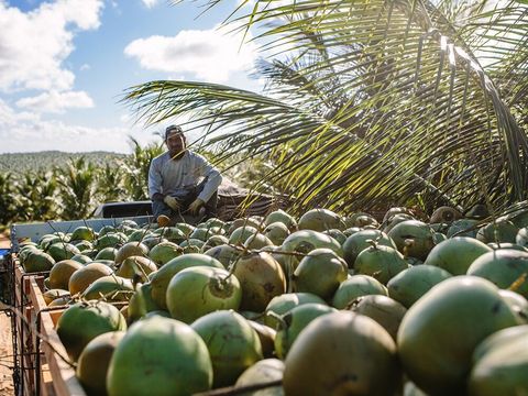 Hoe Obrigado zijn duurzame uitdagingen te lijf gaat