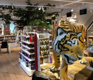 Planet Happy haalt 100.000 euro op met crowdfunding