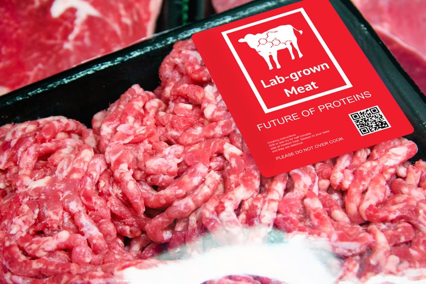 'Er zijn in de toekomst minder supermarkten, maar wel van grotere omvang'