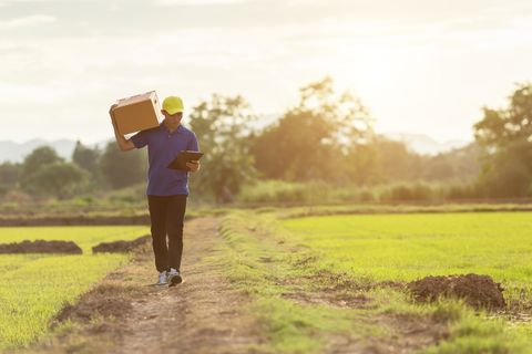 '42 procent bereid langer te wachten op duurzame bezorging'