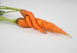 'Misvormde groenten geliefd bij Nederlandse consumenten'