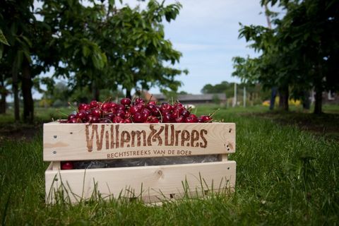 ​Beebox en Willem&Drees bundelen krachten