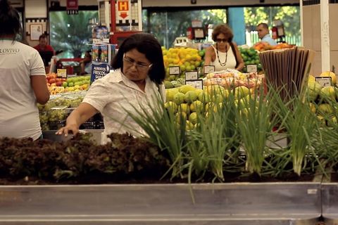 Deze versafdeling is écht vers