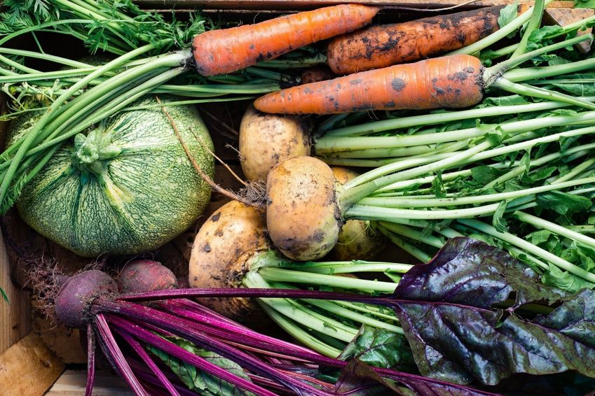 Frans foodconcept aan de slag in Nederland