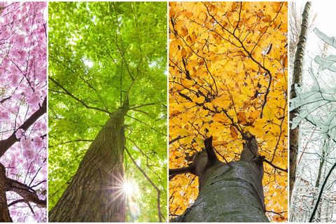 Zo profiteer je optimaal van subseizoenen