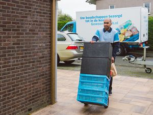 ​AH test grootschalig online inkopen