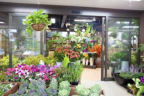 ​Eén op de negen bloemen online verkocht