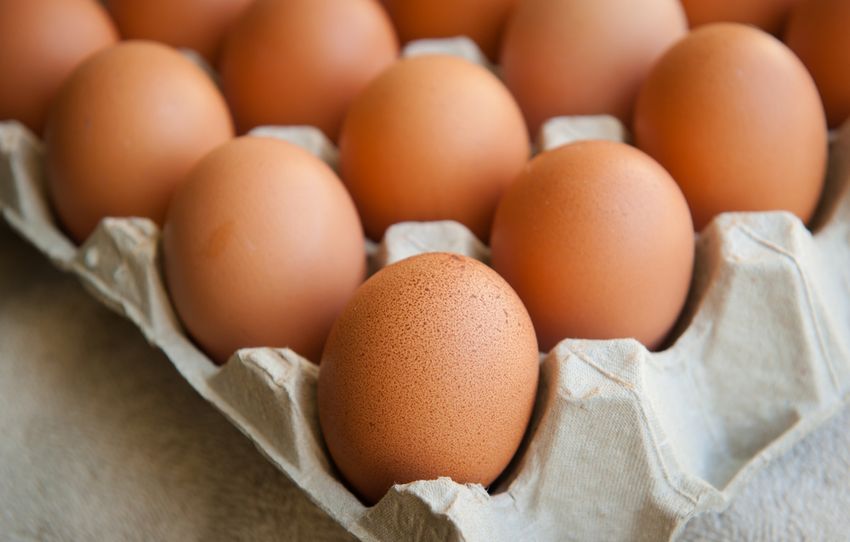 Wakker Dier: ‘Nog veel kooieieren bij buurtsupers’