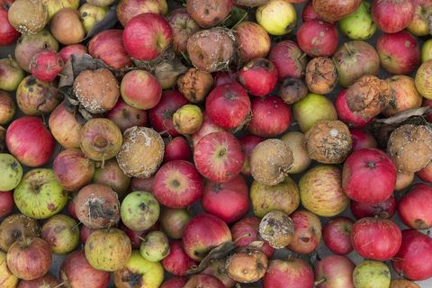 Wat verder deze week voorbij kwam...